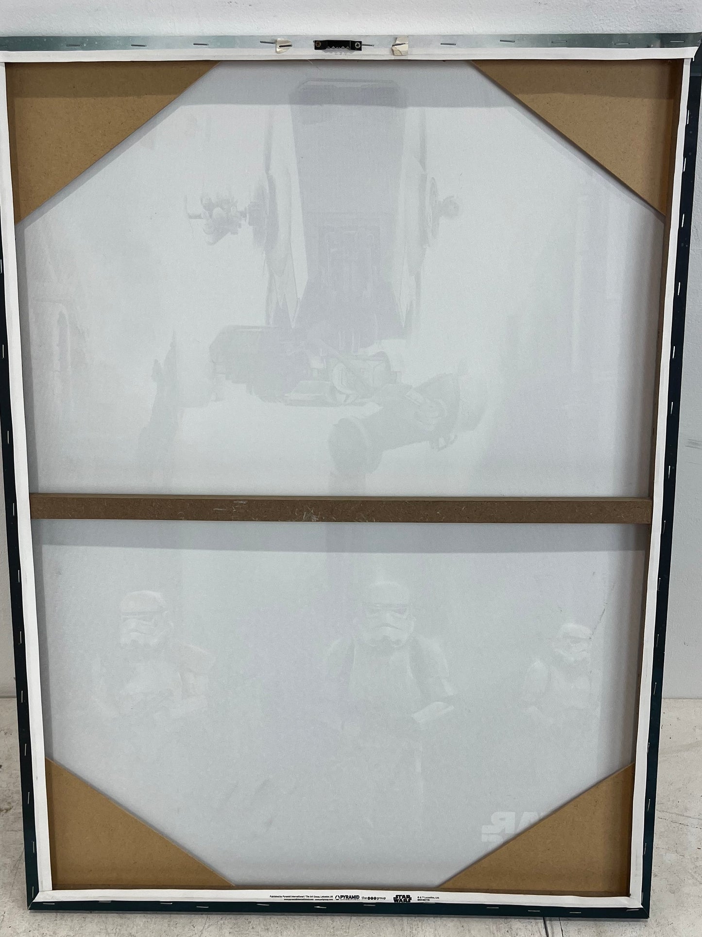 Large Star Wars Rogue One Canvas (Pre-Loved)