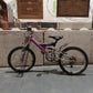 Magna Pink & Purple Bike 20" (Pre-loved)
