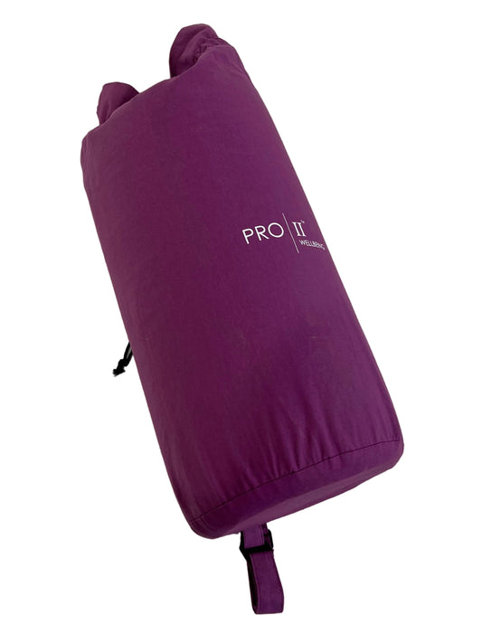 Pro11 Wellbeing Acupressure Mat And Pillow Set (Pre-Loved)
