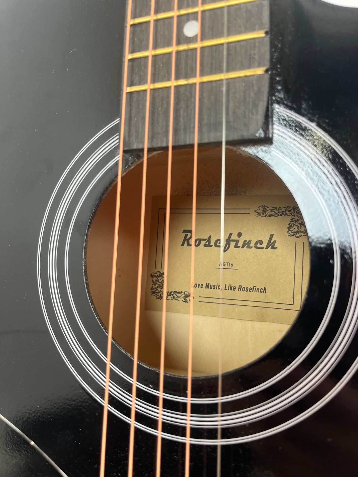 Black Rosefinch Acoustic Guitar (Pre-Loved)