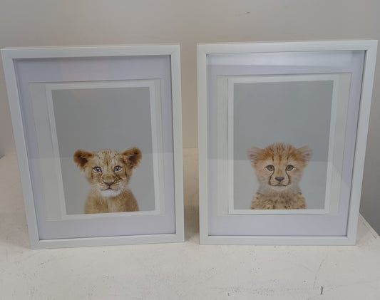 Animal Print White Frames x4 (Pre-loved)
