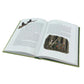 The Hobbit J.J.R. Tolkien Hardback Book (Pre-Loved)