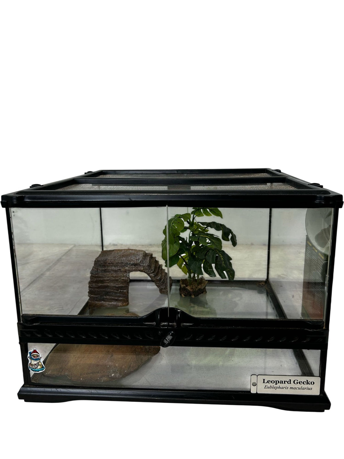 Exo Terra Glass Terrarium with Light Dome & Accessories (Pre-Loved)