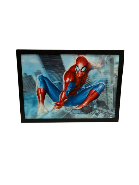 Spider-Man 3D Print (Pre-loved)