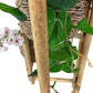 Tiered Bamboo Plant Stand Woven Baskets (Pre-Loved)