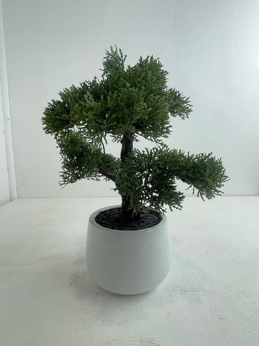 Artificial Bonsai Tree Plant (Pre-loved)