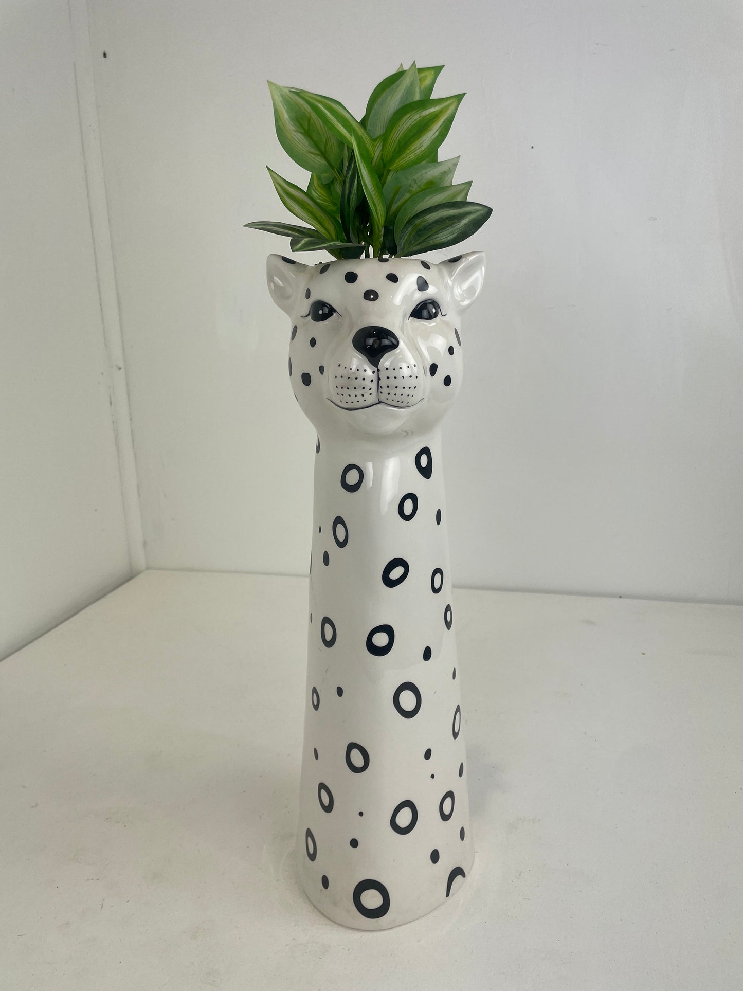 Succulent in Tall Leopard Plant Pot (Pre-loved)