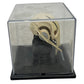 DeAgnostini Star Wars General Grievous Helmet Figurine (Pre-Loved)