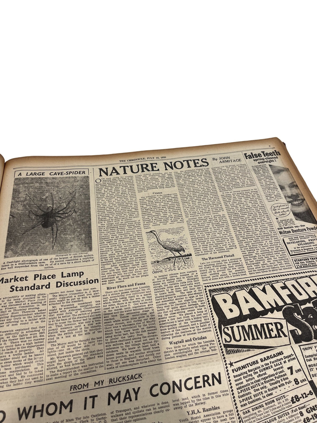 Vintage Antique Oldham Chronicle Bound 1938 Newspaper Collection (Pre-Loved)
