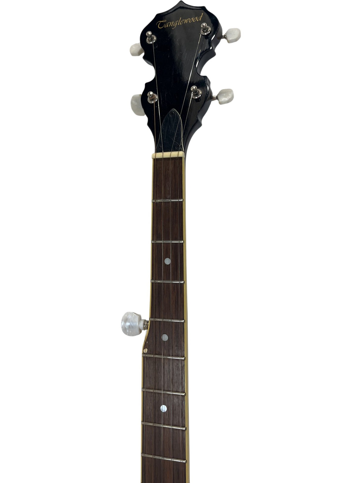 Tanglewood Banjo 5-String Closed Back With Strap And Bag (Pre-Loved)