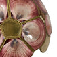 Vintage Seashell Floral Lampshade Stained Glass Style (Pre-Loved)
