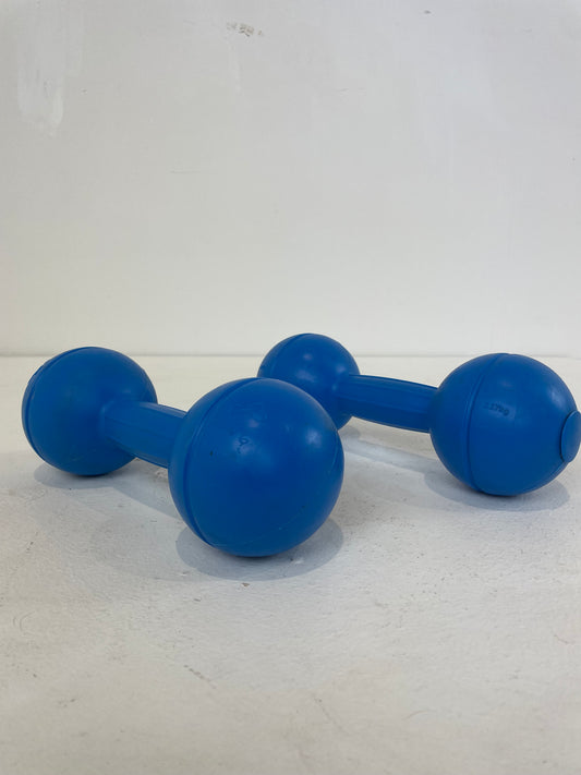 2KG Weights Set (Pre-loved)