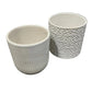 Textured Small Plant Pots (Pre-Loved)