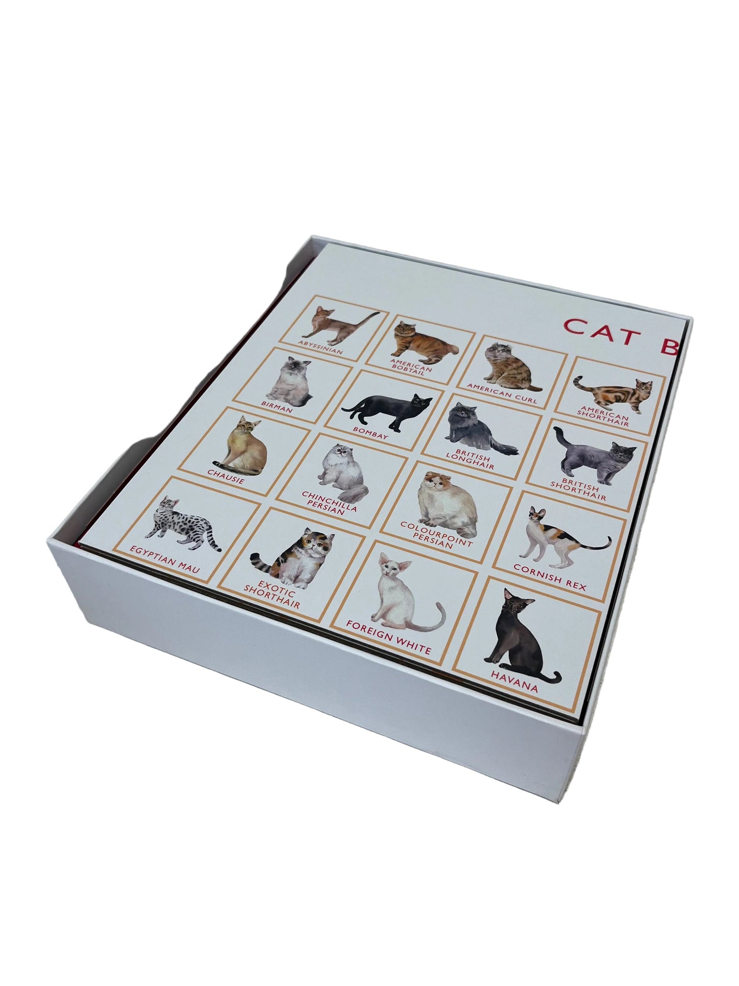 Cat Bingo Board Game (Pre-Loved)