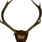 Vintage 1982 Laudale Morvern Mounted Deer Antlers Trophy Plaque (Pre-Loved)