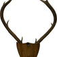 Vintage 1982 Laudale Morvern Mounted Deer Antlers Trophy Plaque (Pre-Loved)