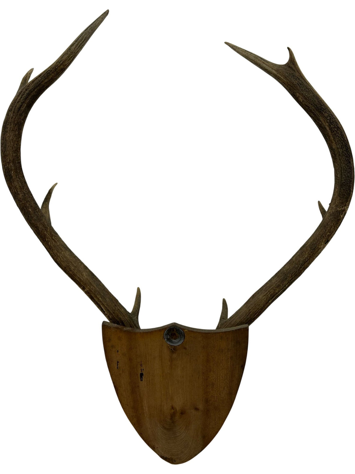 Vintage 1982 Laudale Morvern Mounted Deer Antlers Trophy Plaque (Pre-Loved)