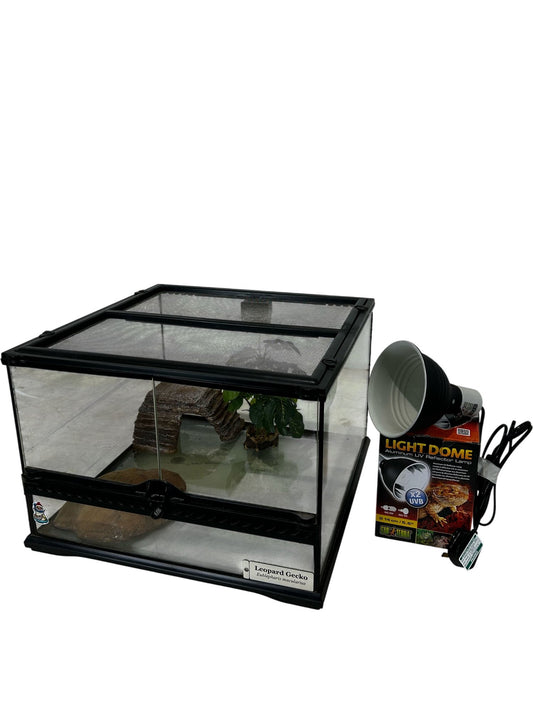Exo Terra Glass Terrarium with Light Dome & Accessories (Pre-Loved)
