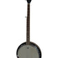 Tanglewood Banjo 5-String Closed Back With Strap And Bag (Pre-Loved)