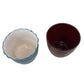 Colourful Medium Plant Pots (Pre-Loved)
