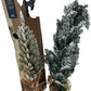 George Home 3ft Pre-Lit Snowy Christmas Tree 30 Warm White LEDs (Pre-Loved)