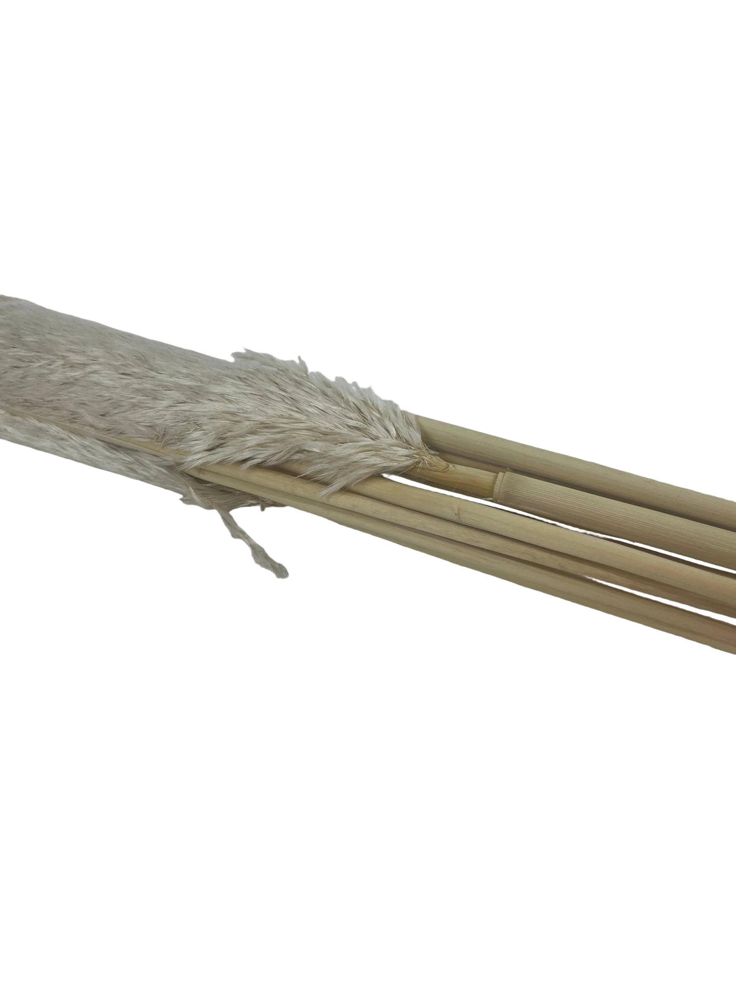 Large Natural Pampas Grass Beige Dried Flowers Home Décor (New)