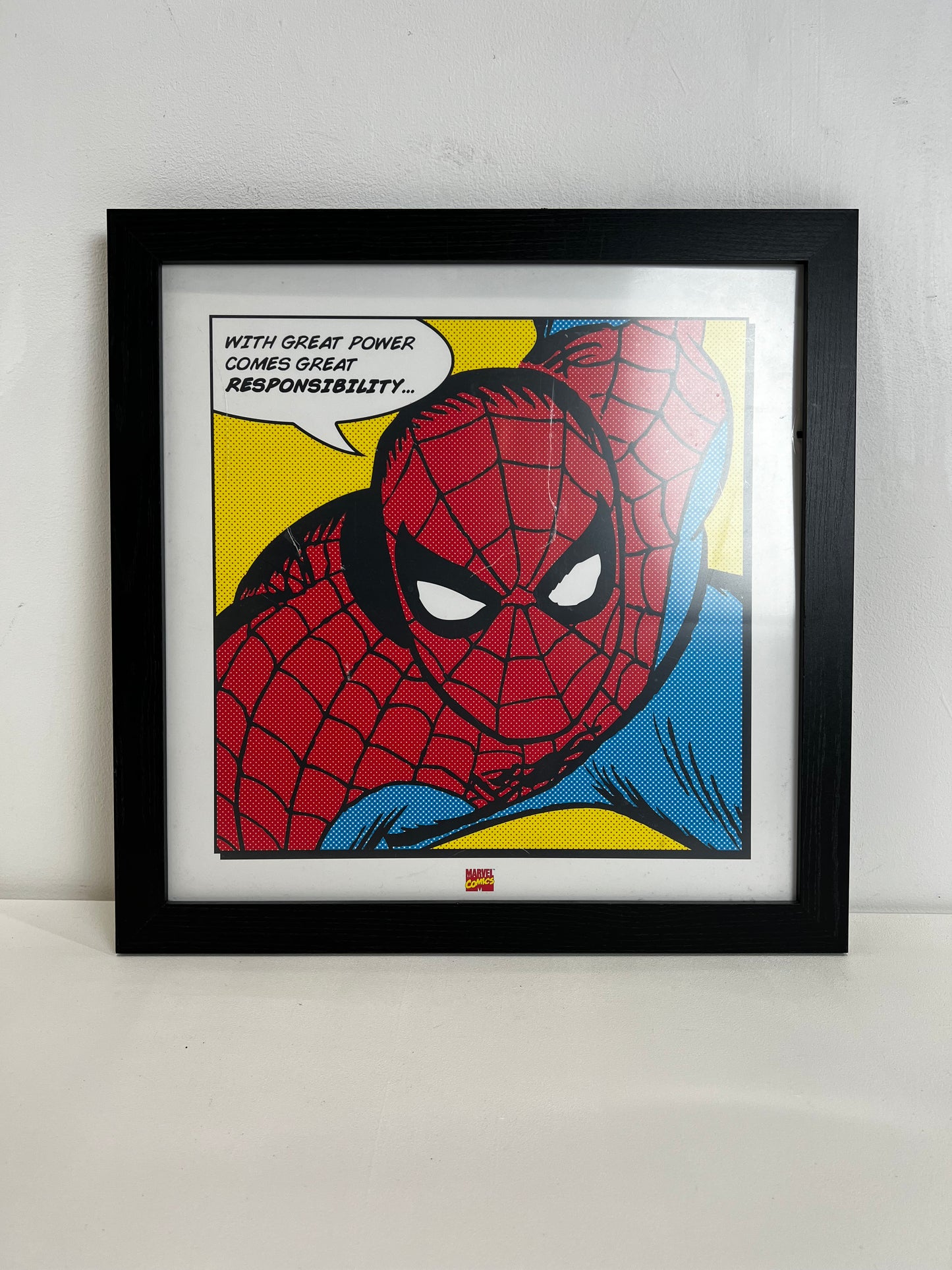 Spider man picture (Pre-Loved)