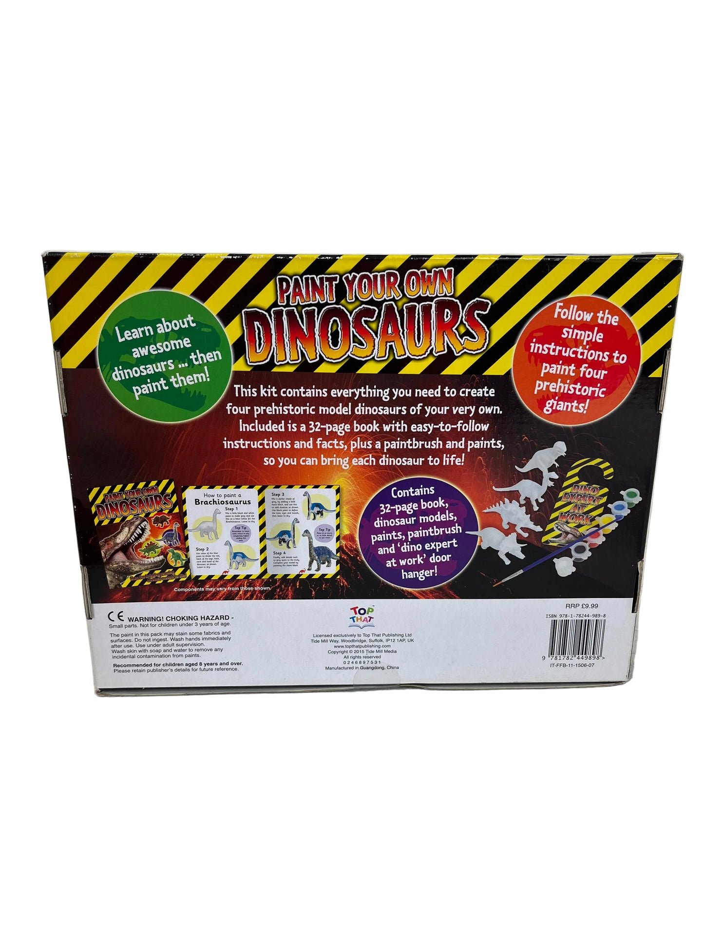 Paint Your Own Dinosaurs Craft Kit (New)