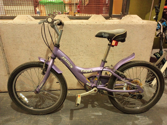 Serviced Capri Jamis Kids Bike (Pre-loved)