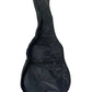 Black Rosefinch Acoustic Guitar (Pre-Loved)