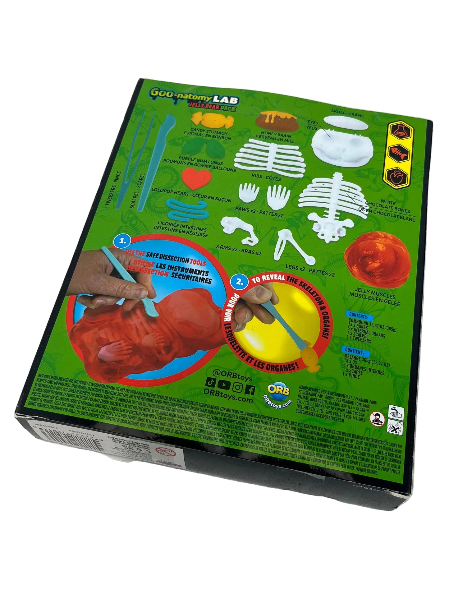 Goo-natomy Lab Jelly Bear Explorer Kit (Unused)