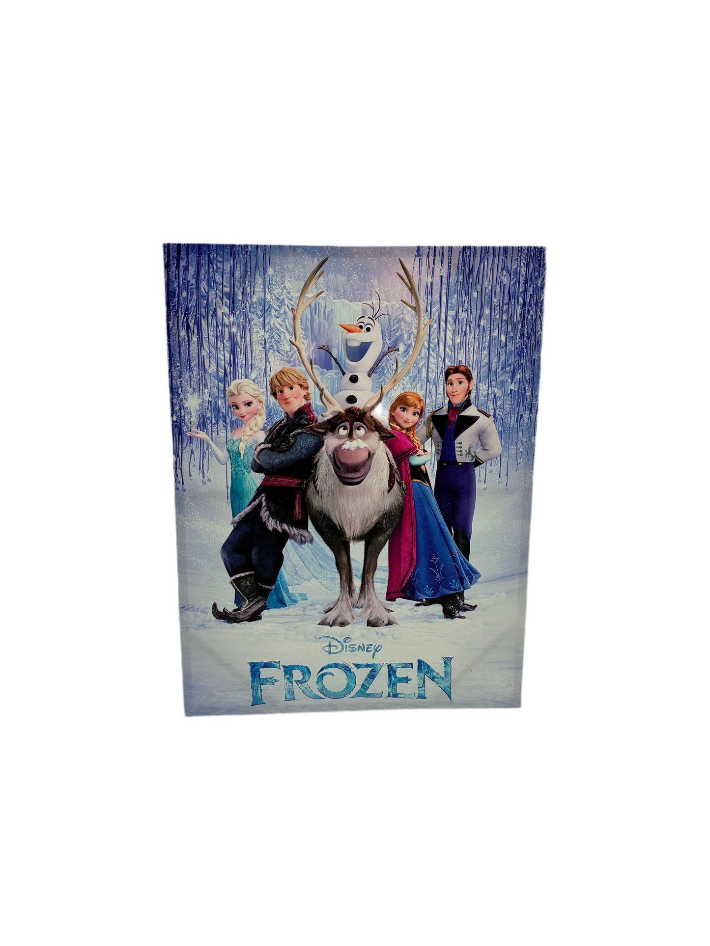 Frozen Canvas (Pre-loved)