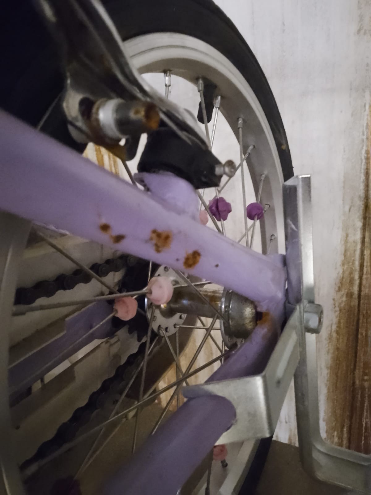 Apollo cherry lane Clearance