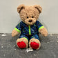 Build a Bear Teddy (New)