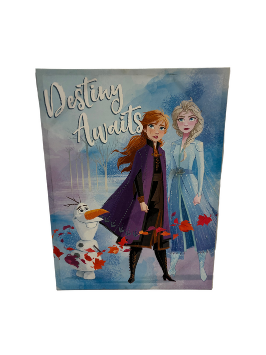 Frozen Canvas (Pre-loved)