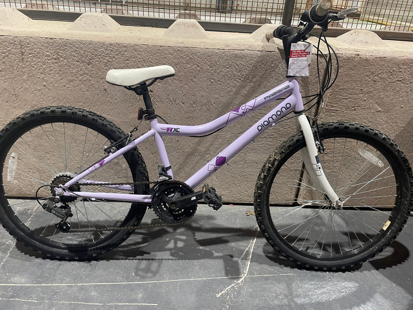 pazzaz 24 inch bike