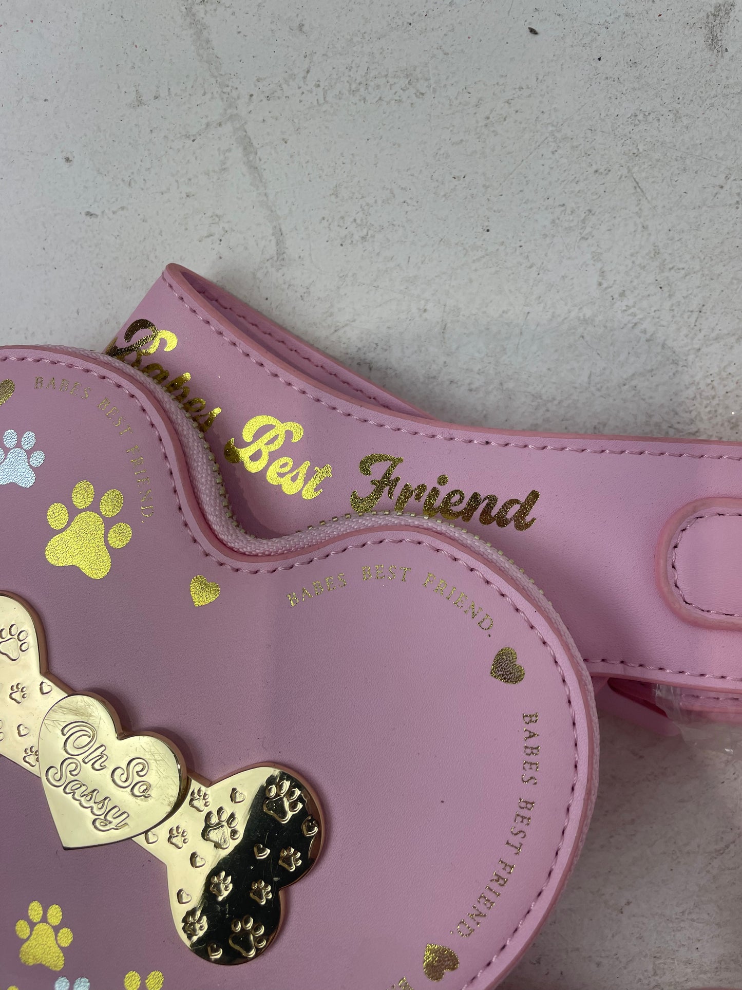 P.Louise Best Friend Dog Leash & Harness (New)