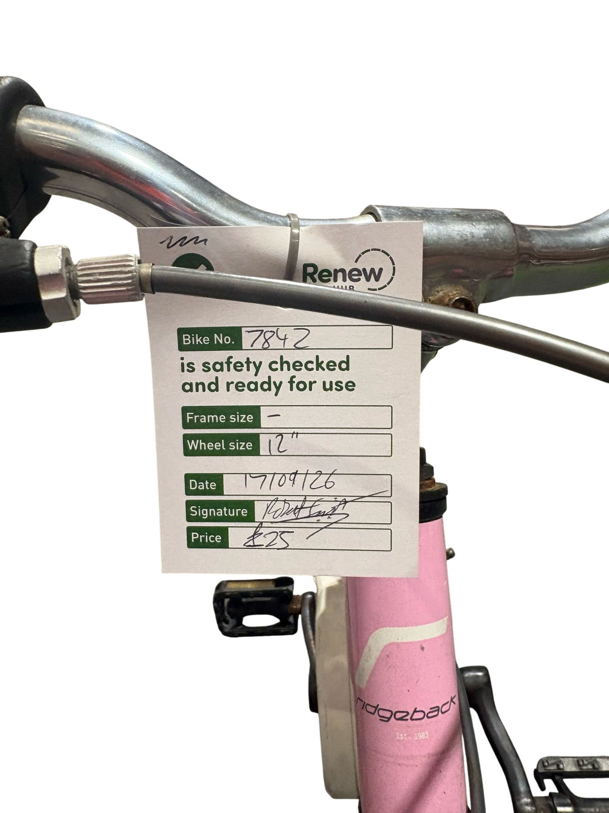 Serviced Ridgeback Minny Kids Bike 12" (Pre-Loved)