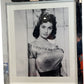 Classic Black & White Sophia Loren Silver Framed Portrait Photograph (Pre-Loved)