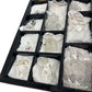 Crystal Figurine Collection Display Case Assorted Animals Set (Pre-Loved)