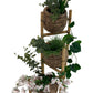 Tiered Bamboo Plant Stand Woven Baskets (Pre-Loved)