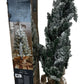 George Home 3ft Pre-Lit Snowy Christmas Tree 30 Warm White LEDs (Pre-Loved)