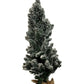 3ft Pre-Lit Snowy Flocked Christmas Tree with Hessian Base (Pre-Loved)
