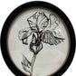 Oval Botanical Floral Framed Wall Art Black White Glass Decor (Pre-Loved)