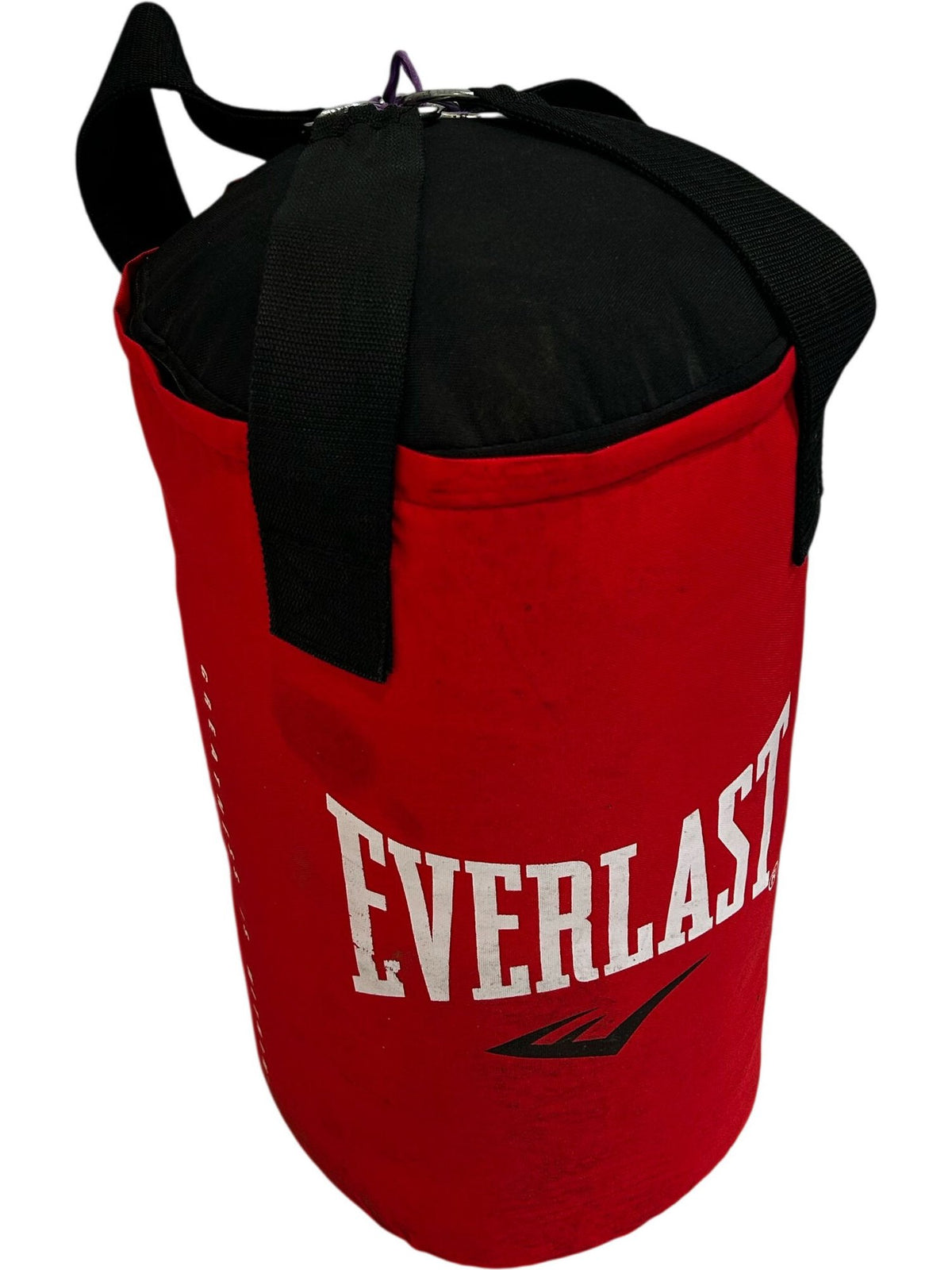 Everlast Punching Bag (Pre-Loved)