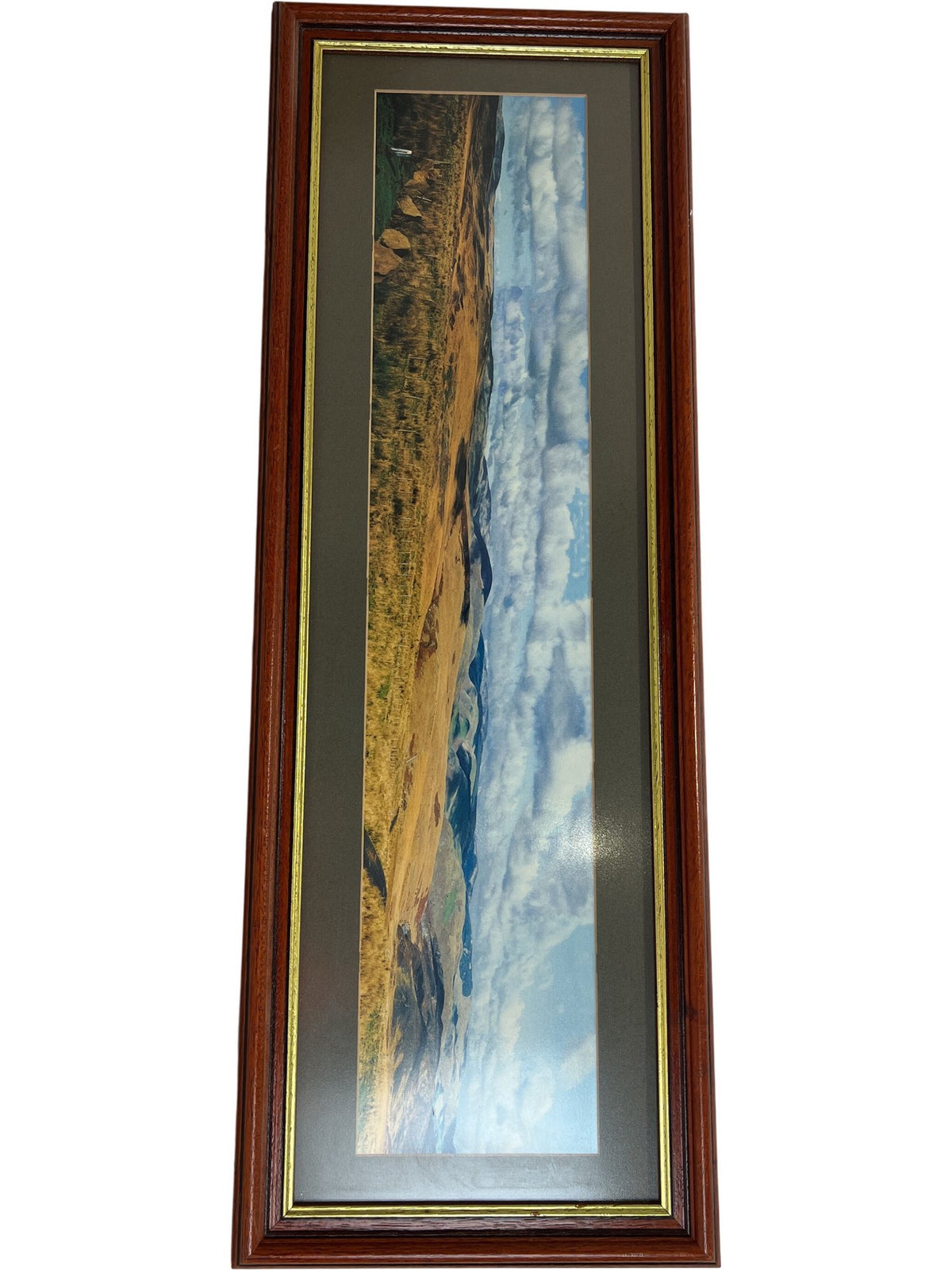 Framed Panoramic Countryside Landscape Scene Wooden Frame Wall Art (Pre-Loved)