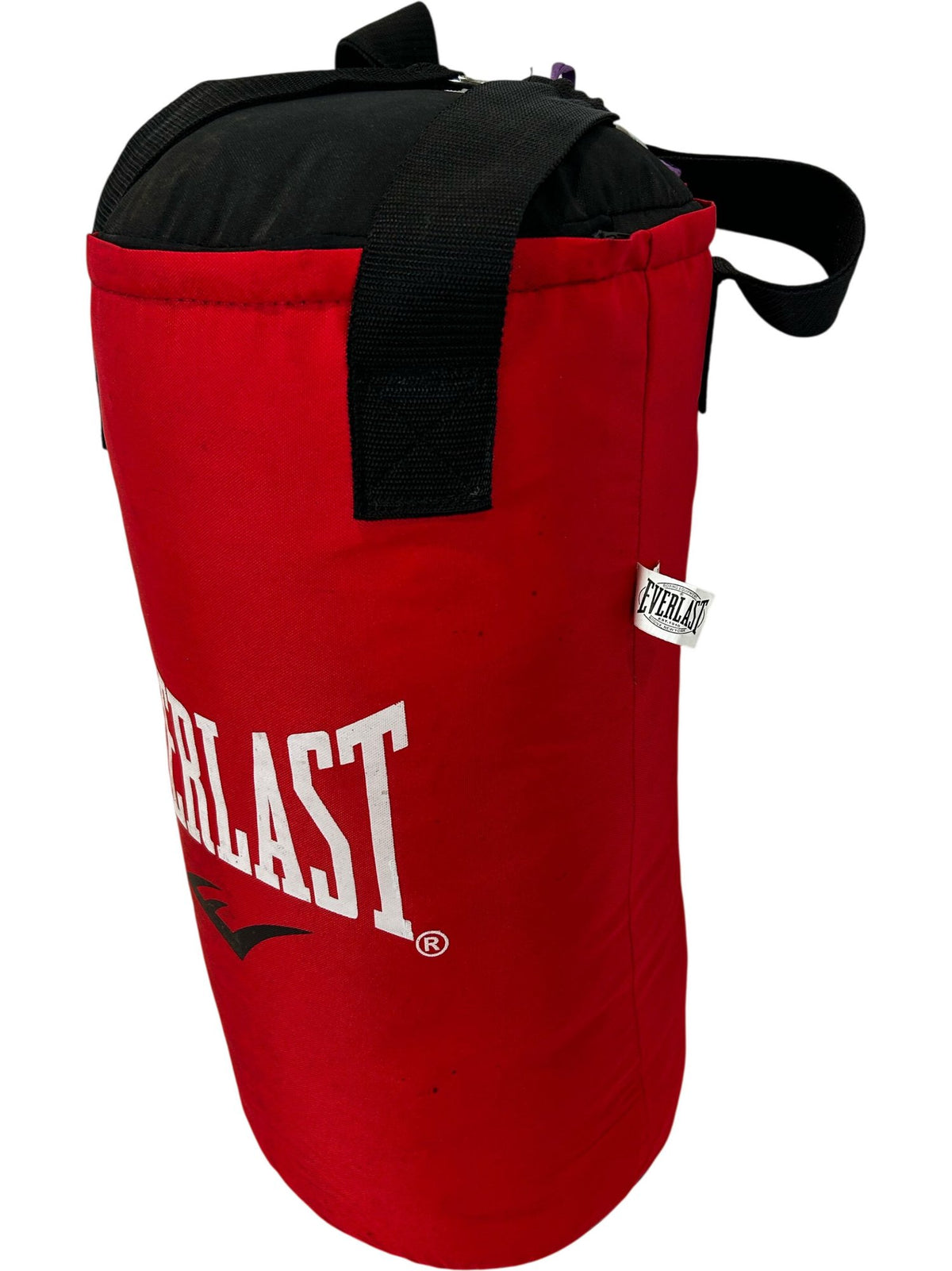 Everlast Punching Bag (Pre-Loved)