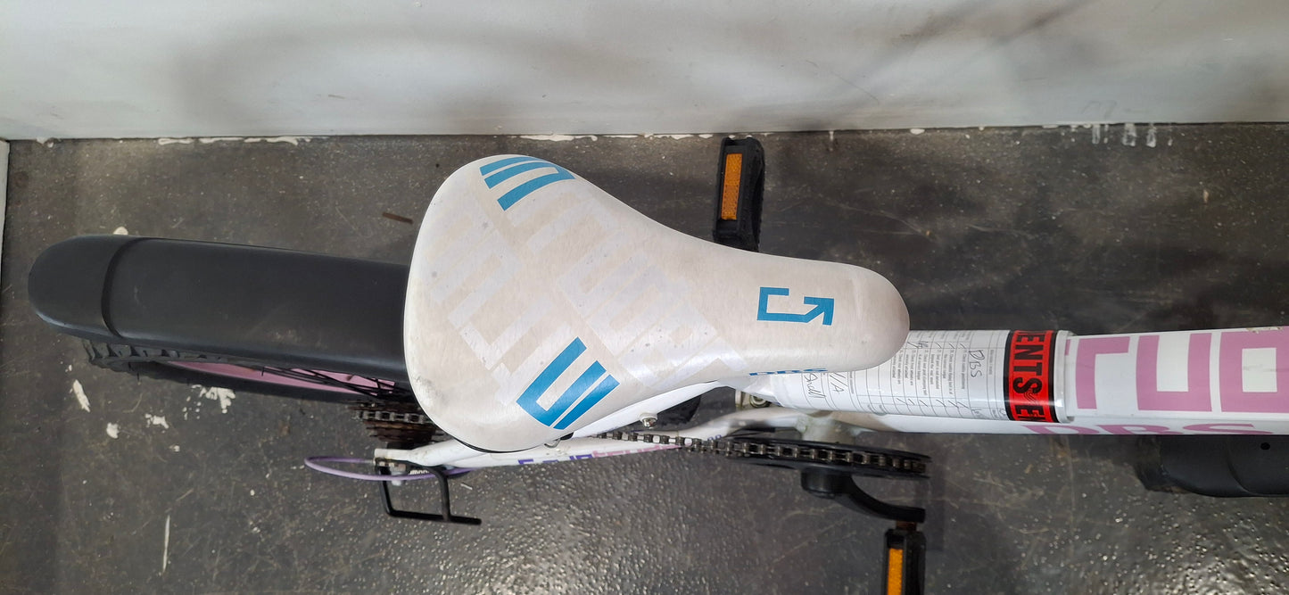 Serviced DBS Intruder Bike, 20" (Pre-Loved)