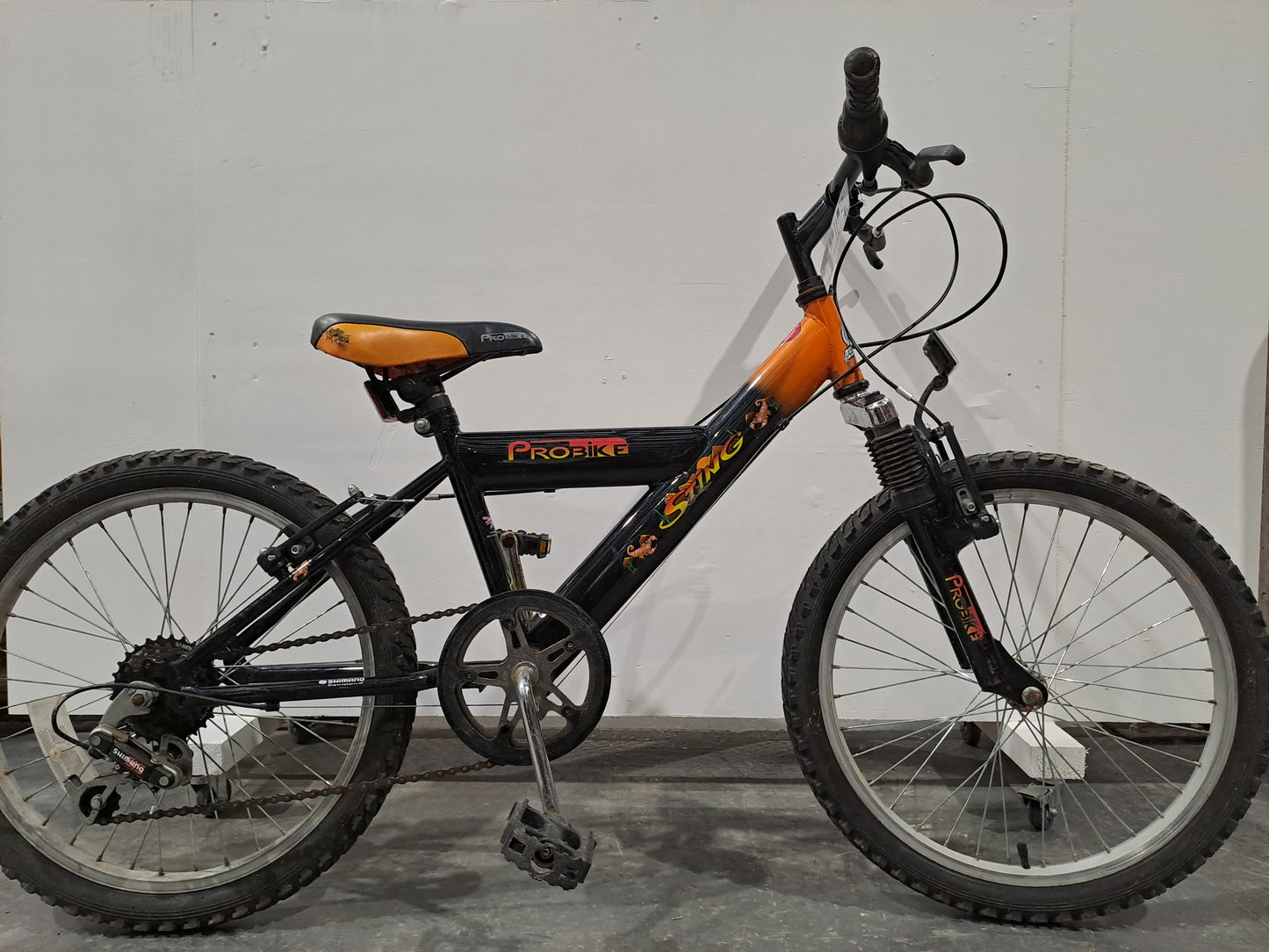 Serviced Orange ProBike 20" (Pre-loved)