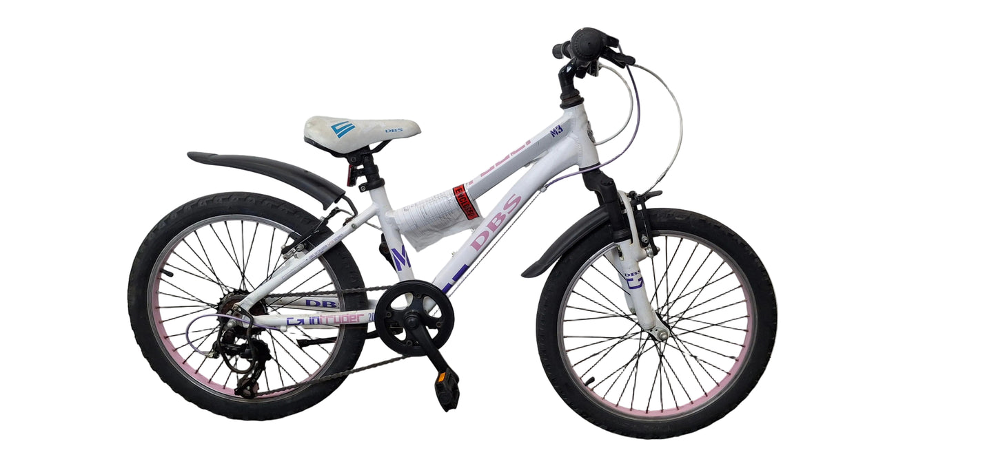 Serviced DBS Intruder Bike, 20" (Pre-Loved)